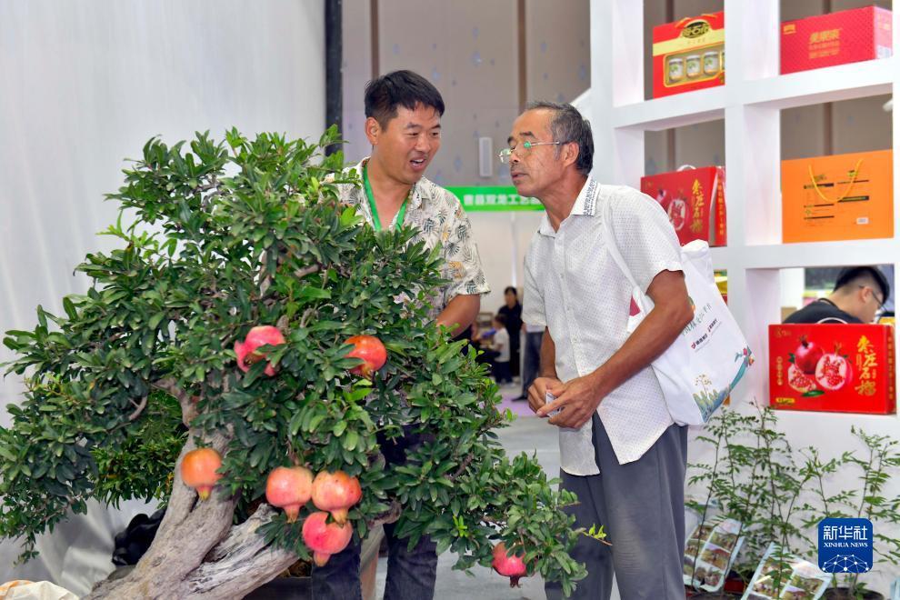 安博网投登录